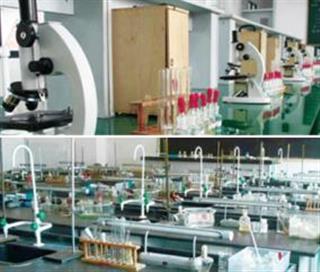 学校环境